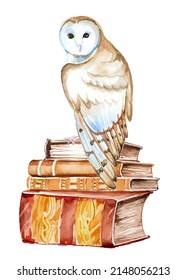 Beautiful hand painted owls sitting on a vintage books isolated on a white background. Forest animal concept. Wild bird illustration. Magical wise owl with book stack artwork for poster, print,card.