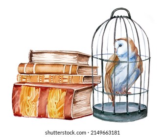 Beautiful hand painted owls sitting in the birdcage around vintage books isolated on a white background. Forest animal concept. Wild bird illustration. Magical wise owl with book stack artwork.
