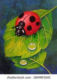 84,357 Ladybug on the leaf Images, Stock Photos & Vectors | Shutterstock