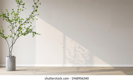 Beautiful house plant in the pot set beside the wall with sun light shine in showing beautiful shadow on white empty wall. Background, mockup, backdrop, Green, houseplant decoration, Asian, Tropical.