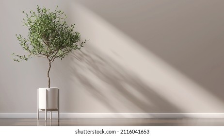 Beautiful House Plant In The Pot Set Beside The Wall With Sun Light Shine In Showing Beautiful Shadow On White Empty Wall. Background, Mockup, Backdrop, Green, Houseplant Decoration, Asian, Tropical.