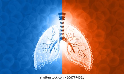 Beautiful Image Of Human Lung Anatomy. 3d Illustration 