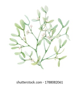 Beautiful Image With Watercolor Mistletoe Plant. Stock Illustraqtion.