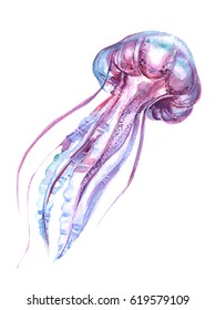 Beautiful Jellyfish Watercolor
