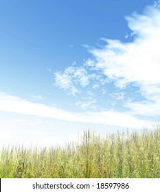 Beautiful landscape