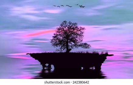 beautiful landscape