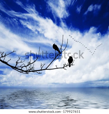 Similar – Image, Stock Photo Mute wire Nature Sky