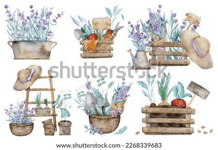 Similar – Image, Stock Photo lavender Lavender Provence