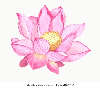 Beautiful Lotus Made With Watercolor