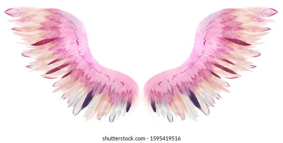 Beautiful Magic Watercolor Pink Beige Wings