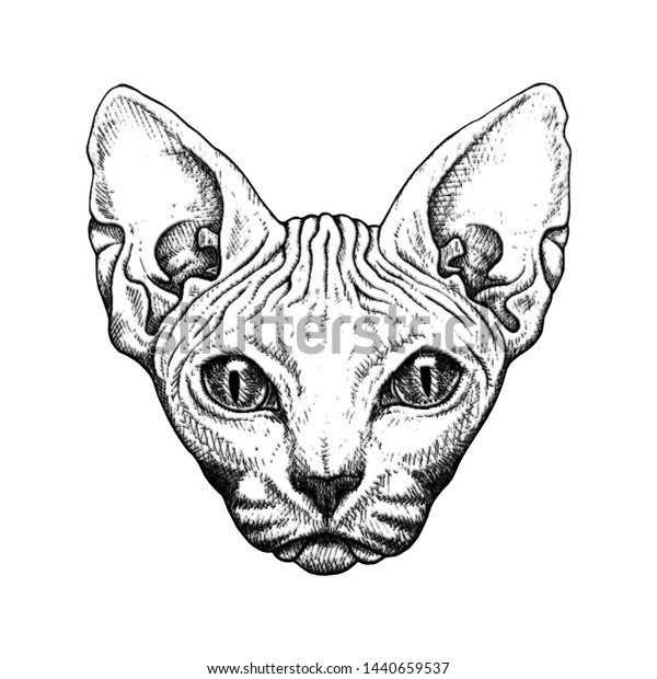 Beautiful Minimalism Tattoo Sketch Cat Sphinx Illustration De Stock