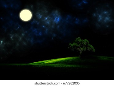 Beautiful Moon At Night Kin