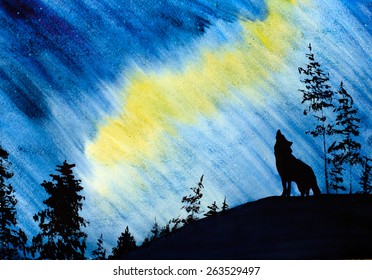 beautiful northern lights and the Wolf