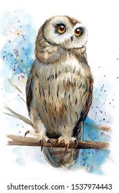 Beautiful painting with a bird, watercolor illustration, owl and paint splashes. Poster, postcard.