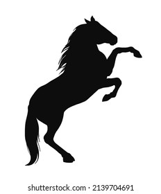 A Beautiful Powerful Horse Rears Up.  With A Fluttering Mane, A Magnificent Tail.  Fights With Strong Hooves, A Free Mustang.  A Black Stallion Stands On Its Hind Legs On A White Background.