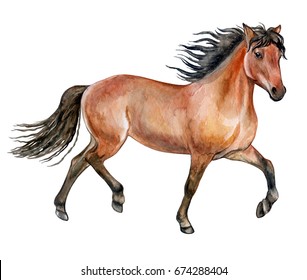 Beautiful purebred red horse isolated on white background. Watercolor. Illustration. Template. Picture. Image