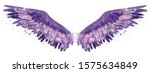 Beautiful purple pink watercolor spreaded wings with touch of green color