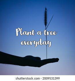 Beautiful Quotation That Says To Plant A Tree  Will Build A Oxygen Plant