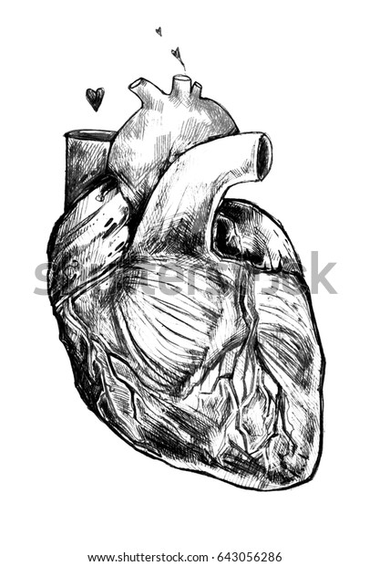 Beautiful Realistic Heart On White Background Stock Illustration
