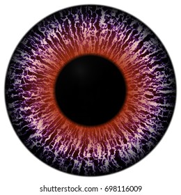 Beautiful Scary Abstract Monster Eye Texture Stock Illustration ...