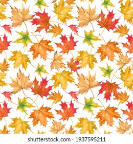 Beautiful seamless autumn pattern with watercolor colorful maple leaves. Stock illustration.