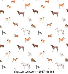 Beautiful Seamless Pattern With Cute Watercolor Hand Drawn Dog Breeds Cocker Spaniel Greyhound Hound Basenji And Russian Greyhound Whippet . Stock Illustration.