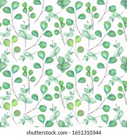 Beautiful seamless pattern.  Hand drawn watercolor eucalyptus leaves. 