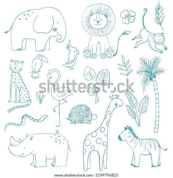 Beautiful set for babies\
with cute hand drawn safari elephant lion giraffe toucan zebra\
monkey flamingo rhino parrot snake jaguar animals. Stock clip art\
illustration.
