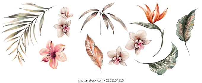 Beautiful set of isolated Tropical flowers and leaves illustration detailed. Suitable for texture fabric. Orchids, lily, palms leafs, botanic plants. White color background.  - Powered by Shutterstock