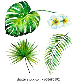 beautiful set with palm leaves and tropical flowers, watercolor
