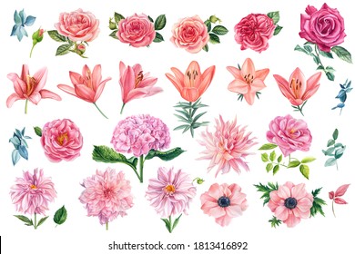 Beautiful Set Watercolor Flowers Roses Leaves Stock Illustration ...