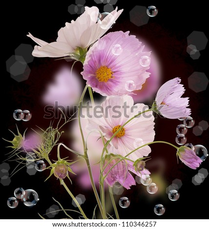 Similar – Flower Background Frame