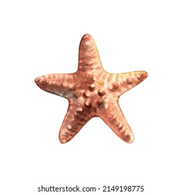 Beautiful starfish. Underwater life object isolated on white background. Hand drawn watercolor illustration. Clip art