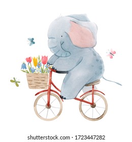 Beautiful Stock Illustration With Cute Watercolor Baby Elephant On Bike. Animal With Bicycle Hand Drawn Painting.