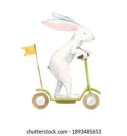 Beautiful stock illustration with cute watercolor baby rabbit on scooter. Animal hand drawn painting.