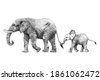 elephant pencil sketches