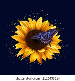 Beautiful Sunflower With Blue Butterfly