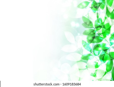 木漏れ日 春 のイラスト素材 画像 ベクター画像 Shutterstock