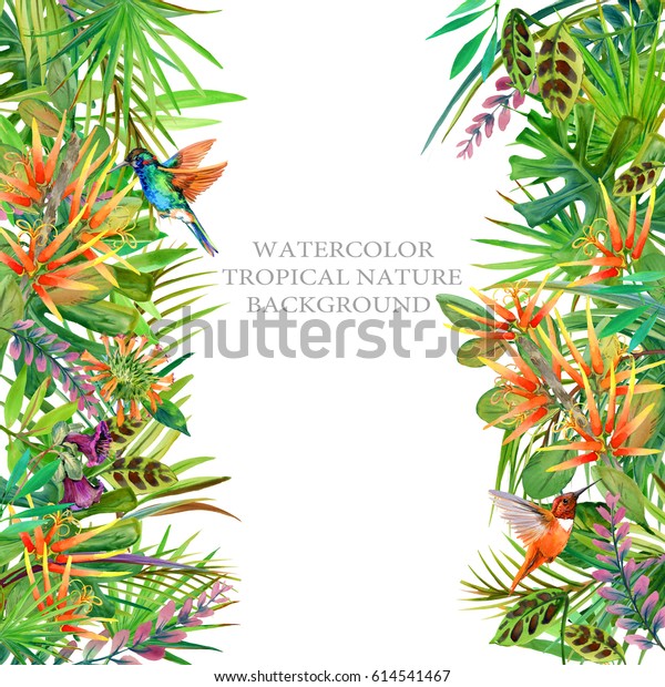 美しい熱帯の自然の枠 エキゾチックな花柄の背景 楽園の境界 ジャングルの植物 ハチドリ 花の水彩イラスト のイラスト素材