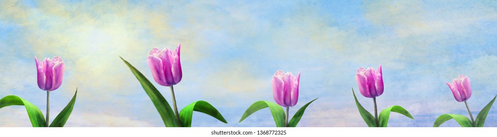Beautiful tulips on the sunny cloudy sky. Spring background. Happy spring banner. Floral background. Background. - Shutterstock ID 1368772325
