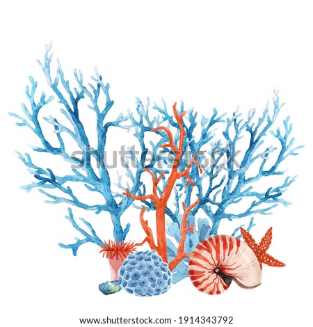 Beautiful underwater composition with watercolor sea life coral shell and starfish. Stock illustration.