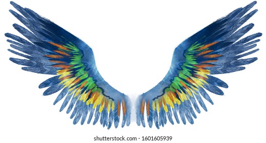 Beautiful watercolor blue wings with green, yellow and orange feathers