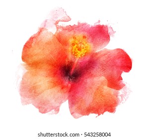 Watercolor Flower Transparent Images, Stock Photos & Vectors | Shutterstock