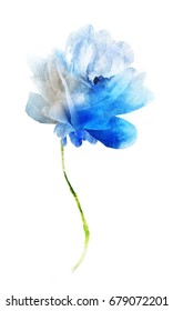 Blue Watercolor Flowers High Res Stock Images Shutterstock