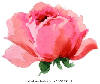 Beautiful Watercolor Flower Rose