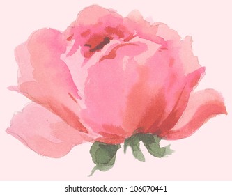 Beautiful Watercolor Flower Rose Blossom