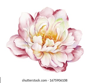 Beautiful watercolor flowers for your design and floral pattern for wallpaper or fabric