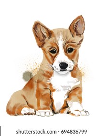 Beautiful watercolor illustration of cute puppy corgi with splatters and paint splashes isolated on white background. Could be used for postcards/ prints / t-shirts etc