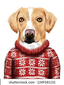 Beautiful Watercolor Illustration Of Cute Retriever  Dog In Ugly Christmas Sweater Isolated On The White Background . Could Be Used For Postcards/ Prints/ T-shirts/ Books Etc
