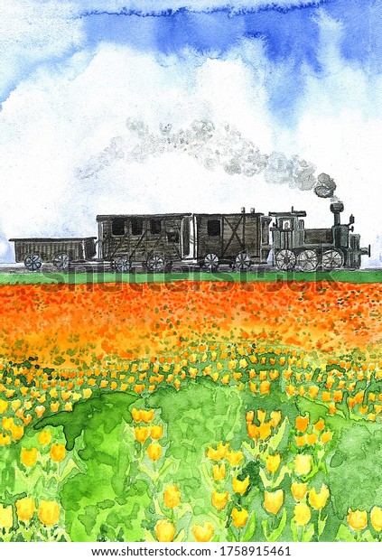 a beautiful watercolor illustration of an old\
steam train with carriages running along the rails past a huge\
field of orange tulips